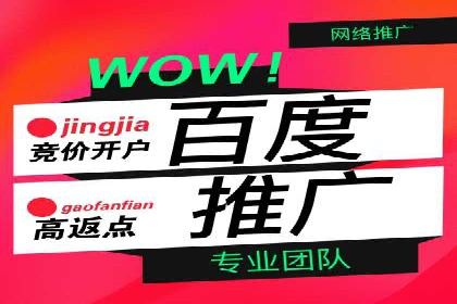 百度SEO推广公司案例：如何快速提升网站排名